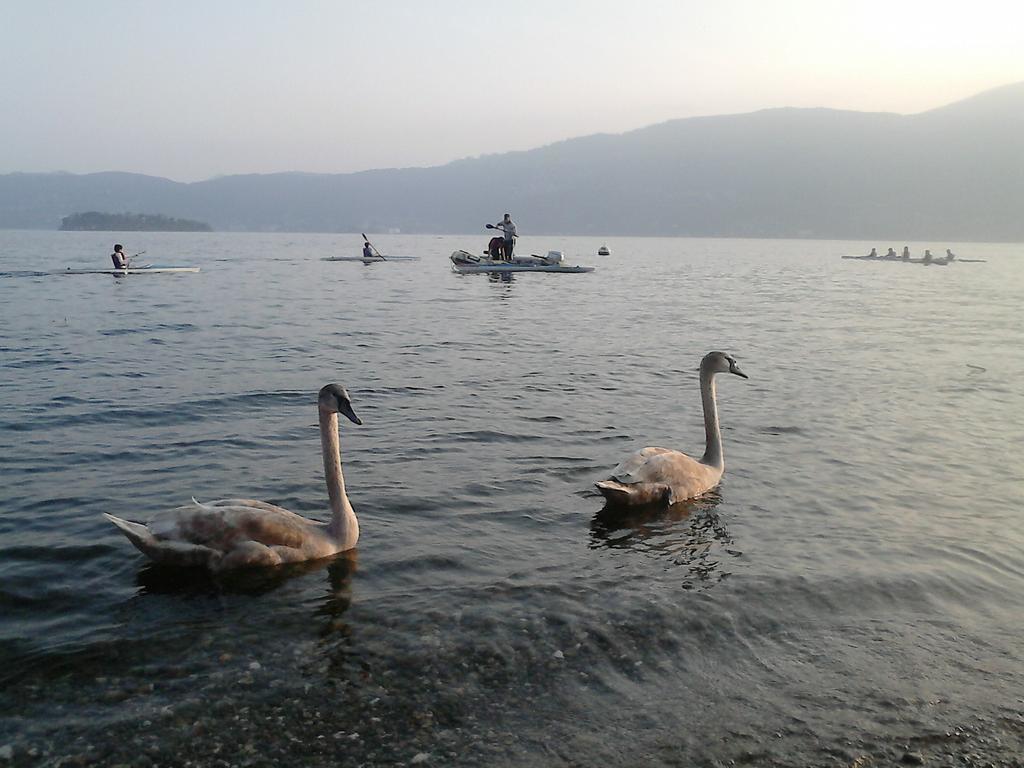 B&B Il Castello Lago Maggiore Con Terrazza Cossogno Экстерьер фото